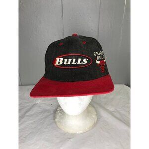 Vintage Chicago Bulls TEI Twins Strapback Hat Spellout Embroidered Logo Cap